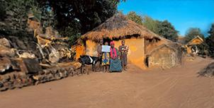 Süt Keçisi Dağıtımı