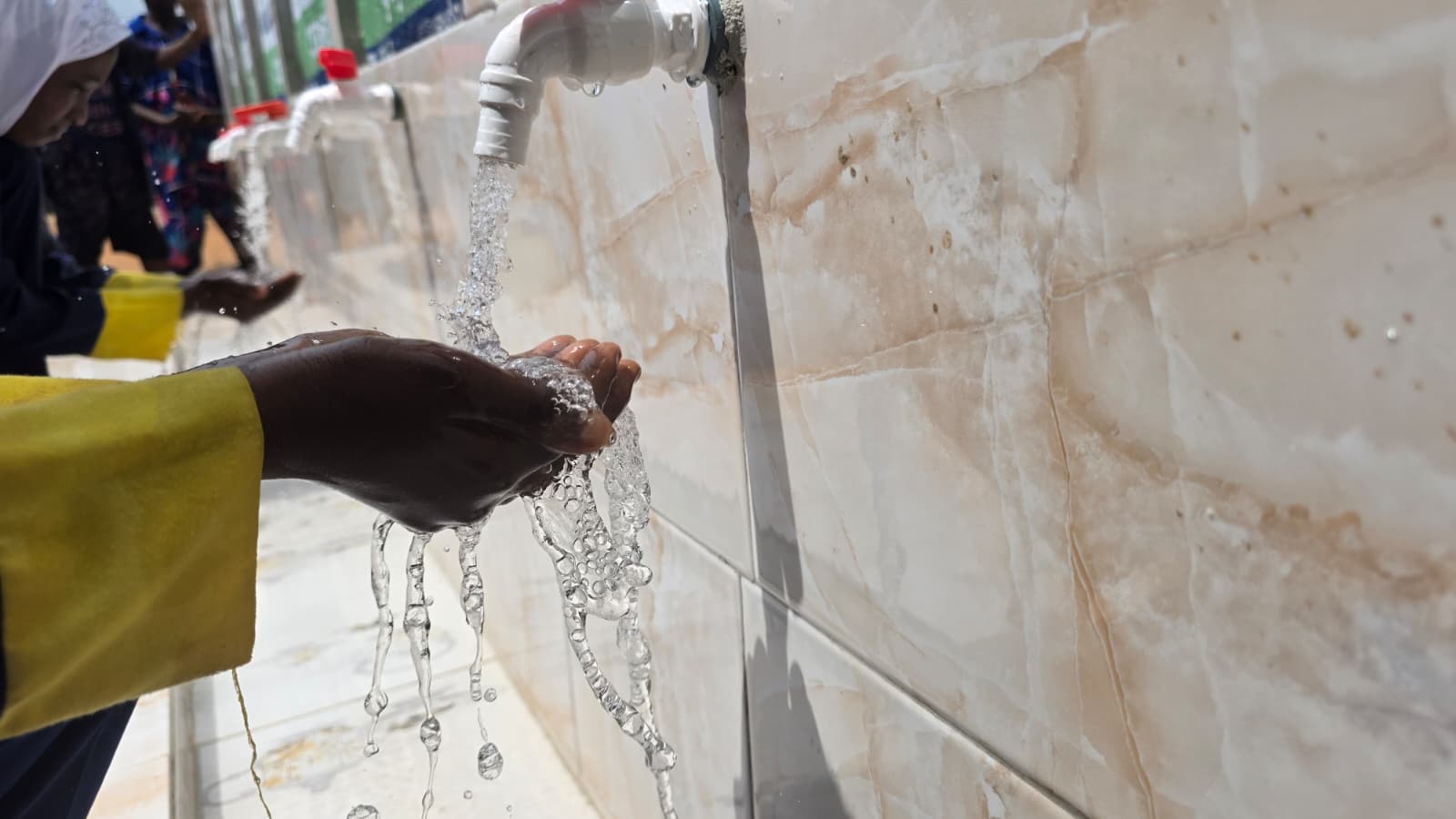 WhatsApp Image 2026-03-01 at 13.37.47 (2)