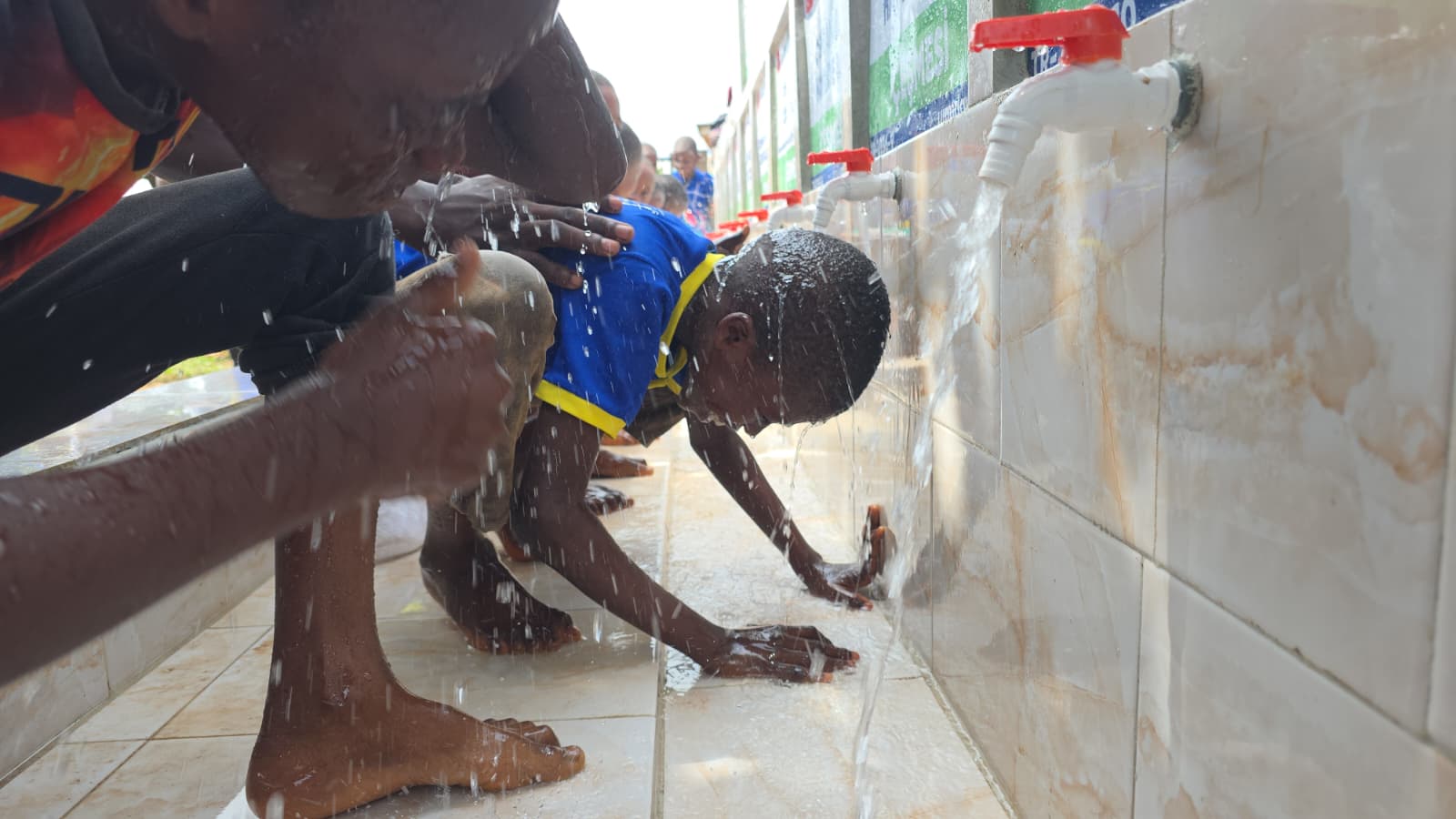 WhatsApp Image 2026-03-01 at 13.37.51